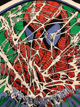 Load image into Gallery viewer, DS The Sensational Spider-Man M/L 1989
