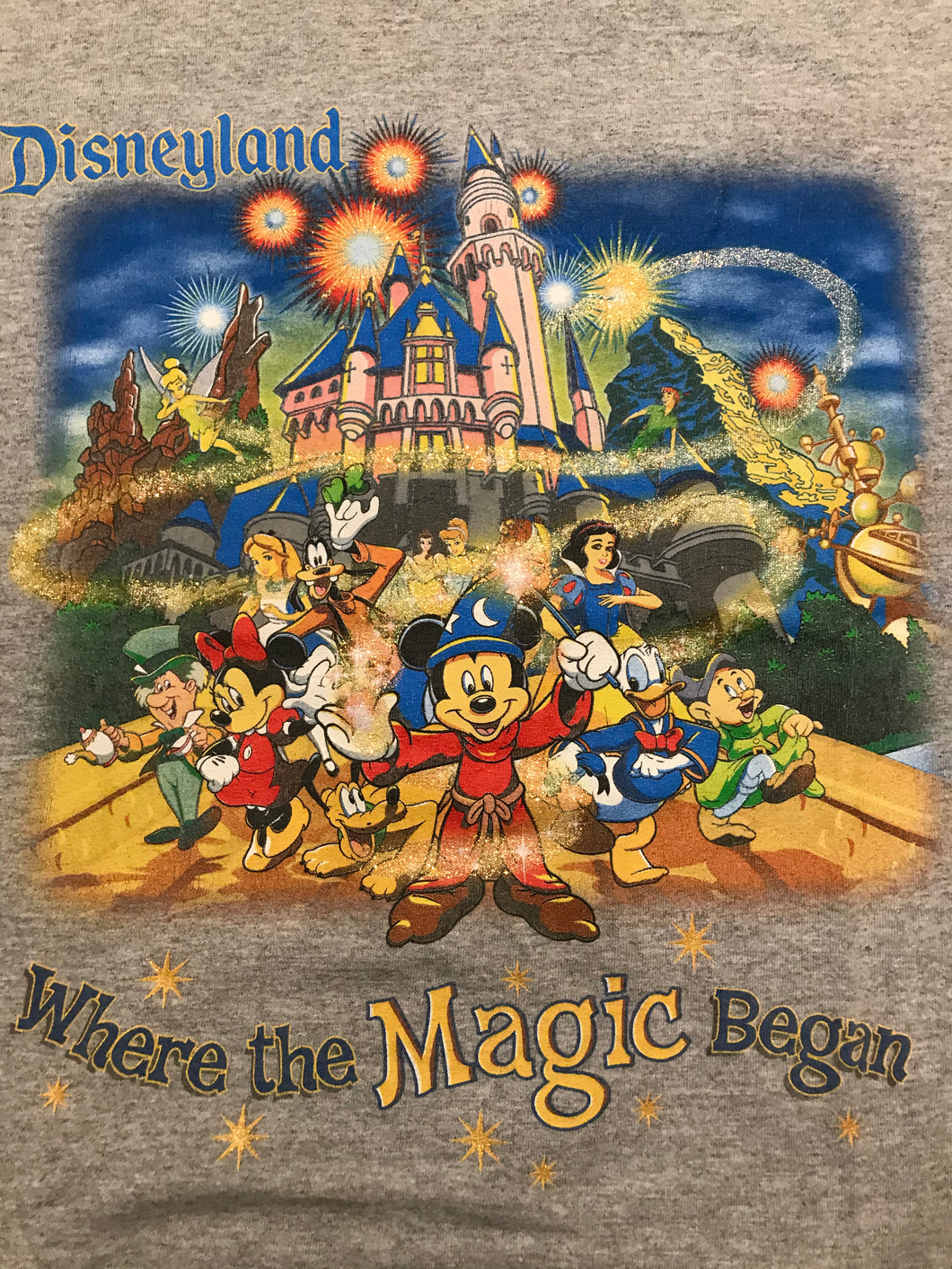 Disneyland Where The Magic Began M