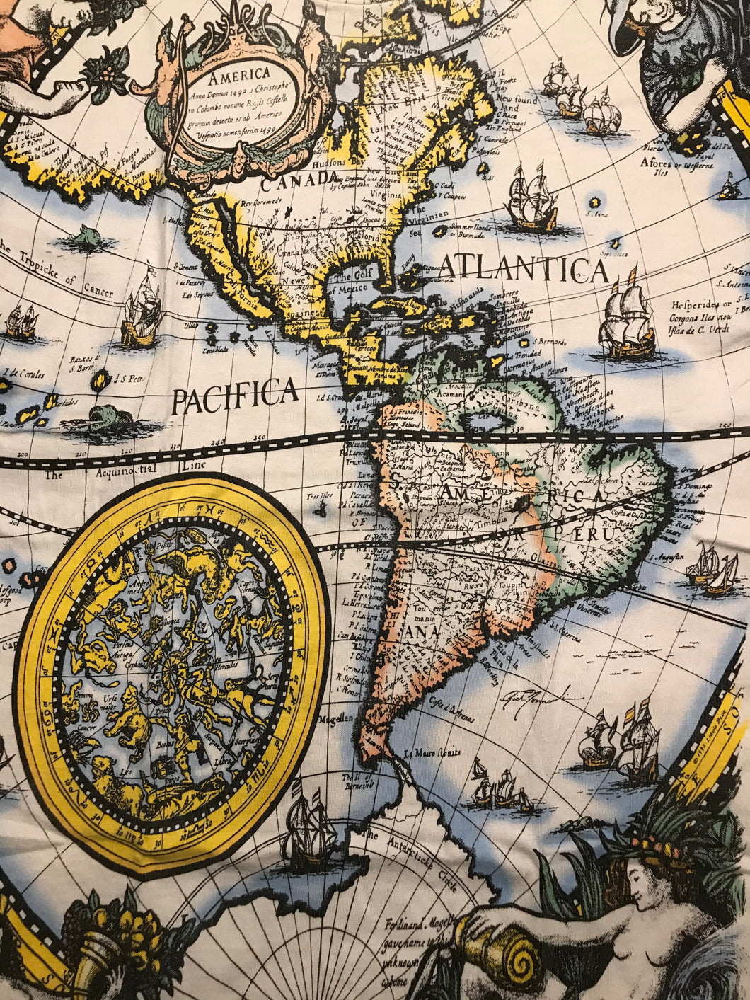 “The New World” 1499 Map AOP L
