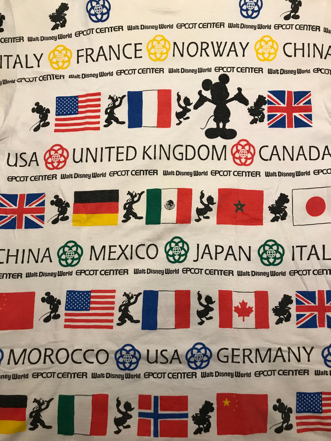 Disney Epcot AOP L