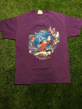 Load image into Gallery viewer, Where Magic Lives Walt Disney World M
